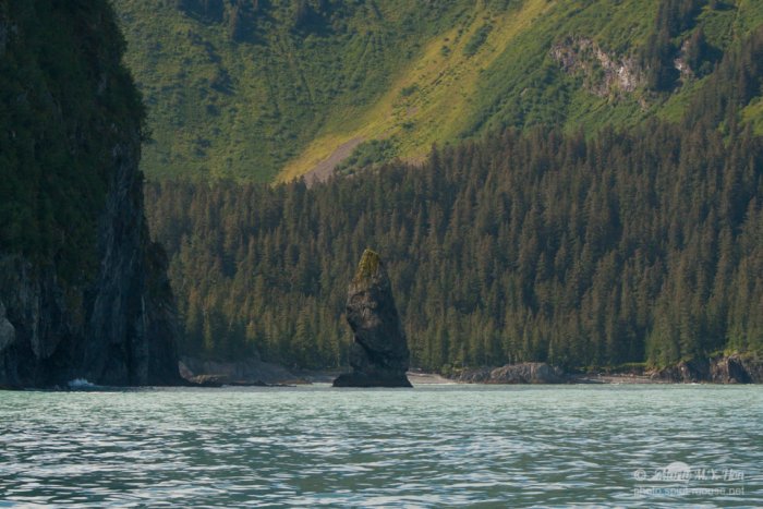Kenai Fjords National Park, Alaska