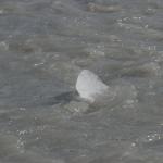 Exit Glacier, Seward, Alaska