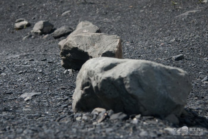 Exit Glacier, Seward, Alaska