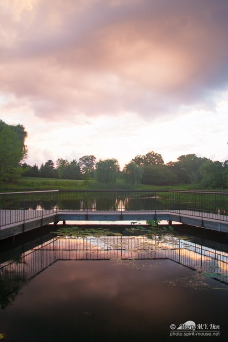 20140713_BotanicGarden_9998