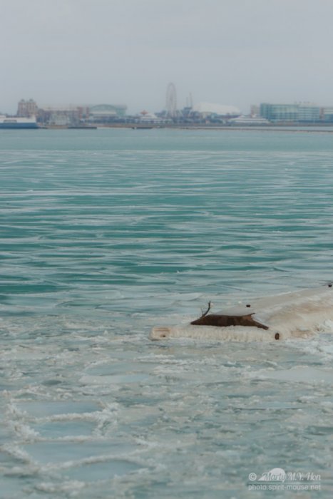 20150118_LakeShore_8047