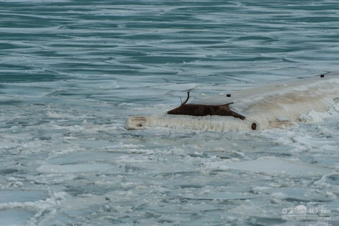 20150118_LakeShore_8055