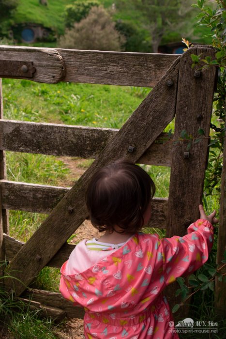 Open the gate for adventure