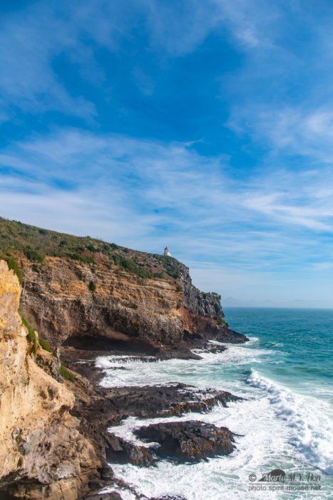 Taiaroa Head