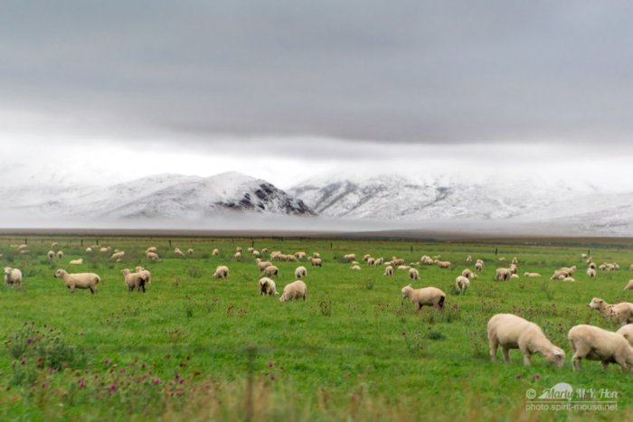 Wonderful view of roadtrip landscapes