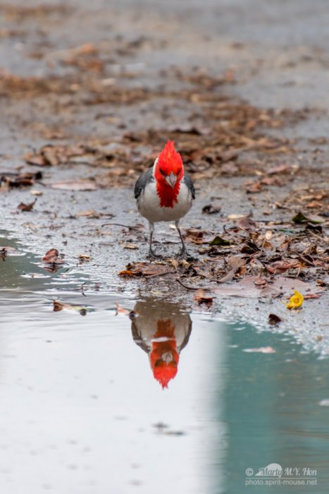 That's pretty handsome